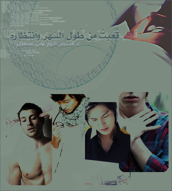 8333alsh3er.gif