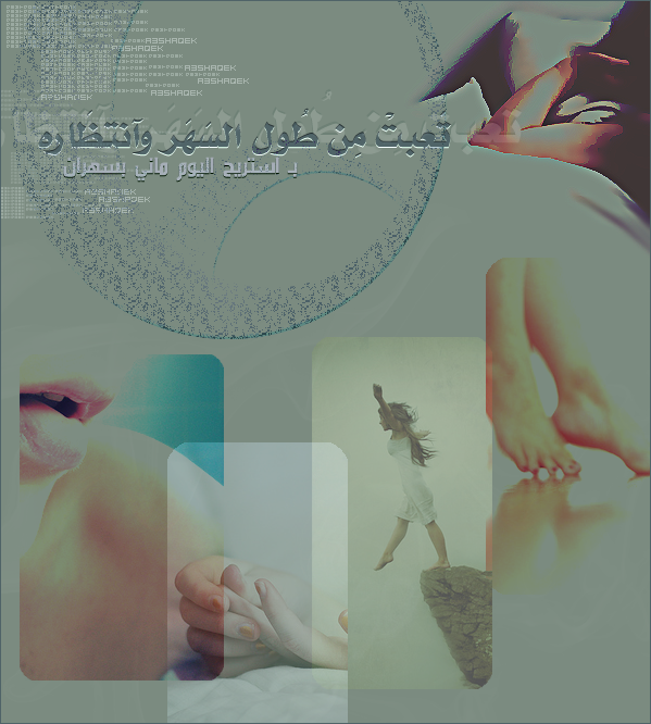 8336alsh3er.gif