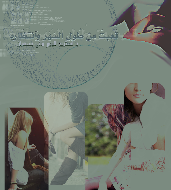 8337alsh3er.gif