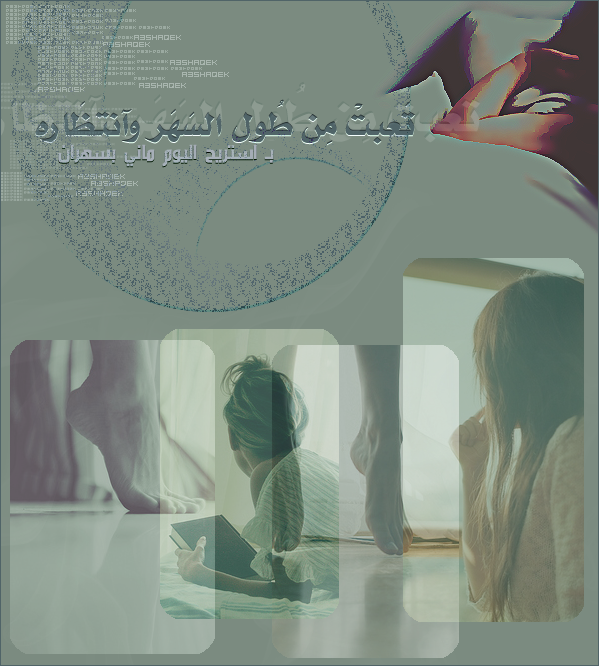 8338alsh3er.gif