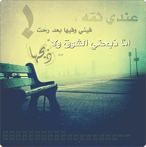 8341alsh3er.jpg