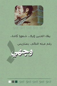 8342alsh3er.jpg