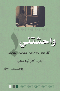 8343alsh3er.jpg