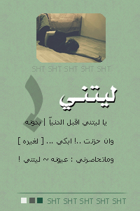 8347alsh3er.jpg