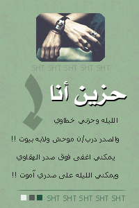 8349alsh3er.jpg