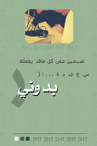 8350alsh3er.jpg