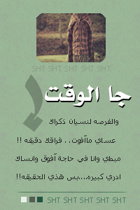 8351alsh3er.jpg