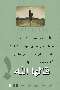 8352alsh3er.jpg