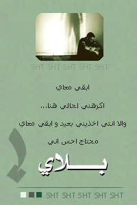 8355alsh3er.jpg
