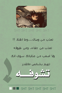 8357alsh3er.jpg