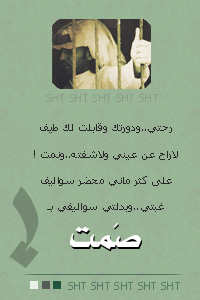 8361alsh3er.jpg