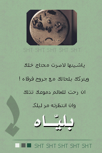 8362alsh3er.jpg