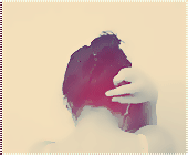841alsh3er.gif