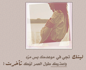 851alsh3er.png