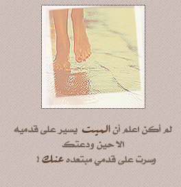 866alsh3er.png