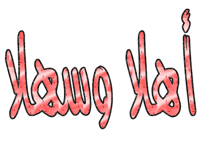 8686alsh3er.jpg