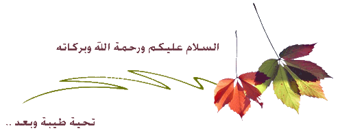 8704alsh3er.jpg