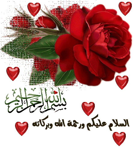 9289alsh3er.jpg