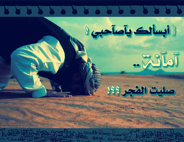 9667alsh3er.JPG