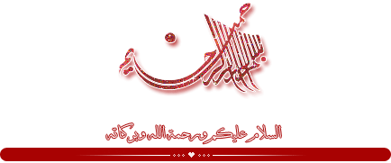 9710alsh3er.jpg