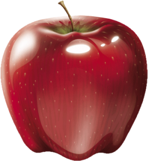 11.png