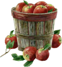 13.png