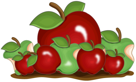 16.png