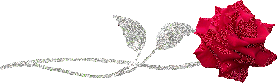 30.gif