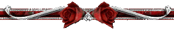 31.gif