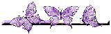 56.gif