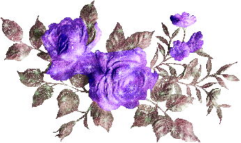 77.gif