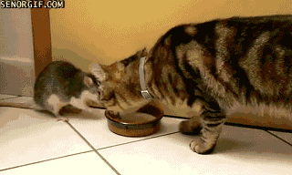 90.gif