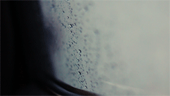 96.gif