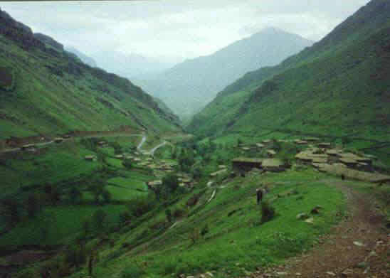 77.jpg