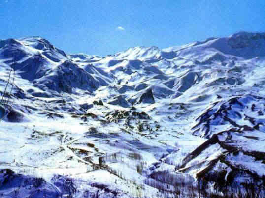78.jpg