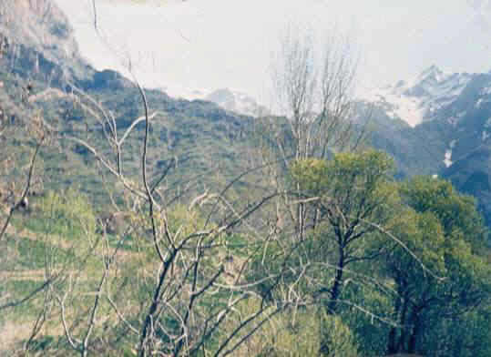 81.jpg