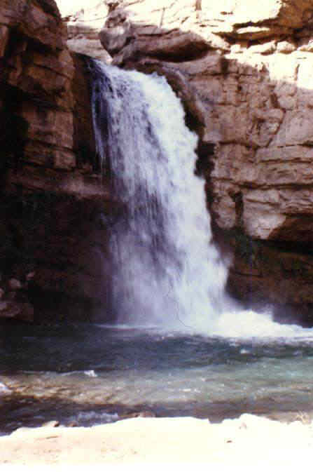 83.jpg