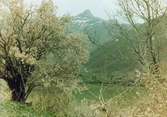 84.jpg