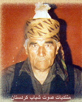 156.jpg