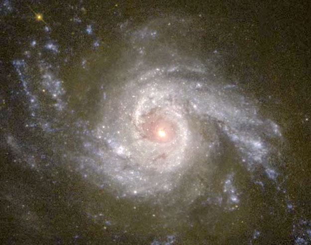 118.jpg