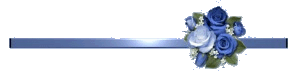 12.gif
