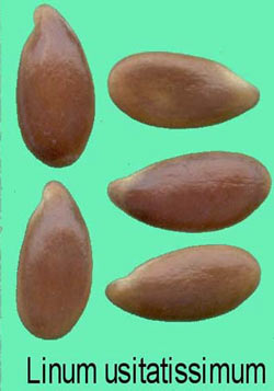 131.jpg
