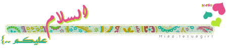 17.gif