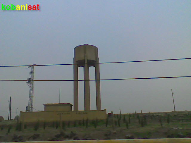 37.jpg
