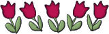 48.gif
