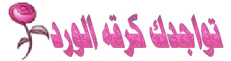 12.gif