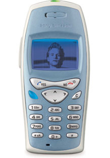 248.jpg