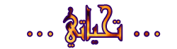 5.gif