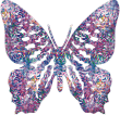 123.gif