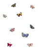 187.gif